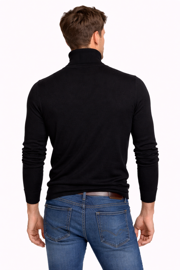 Theodore | Bold Classic Turtleneck